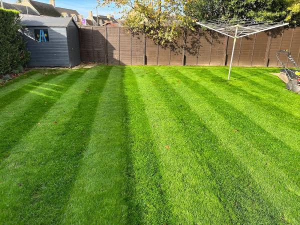 Elite Lawn Maintenance Ltd