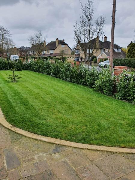 Surrey Garden Care Ltd