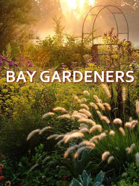 Bay Gardeners