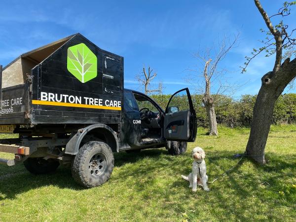 Bruton Tree Care
