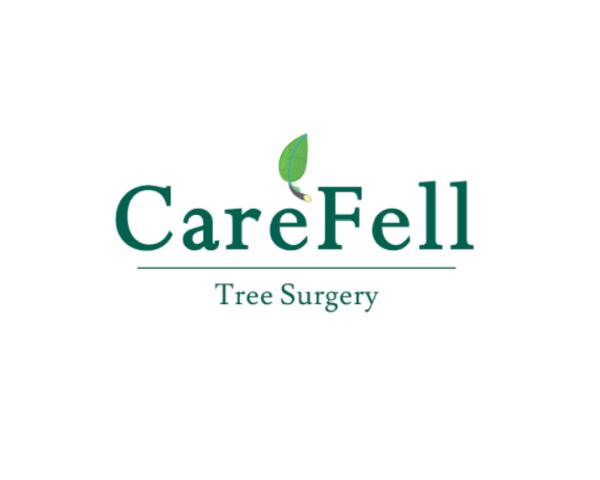 Carefell