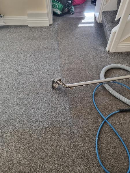 Super Carpets Care