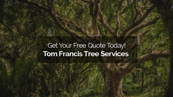 Tom Francis Tree Services