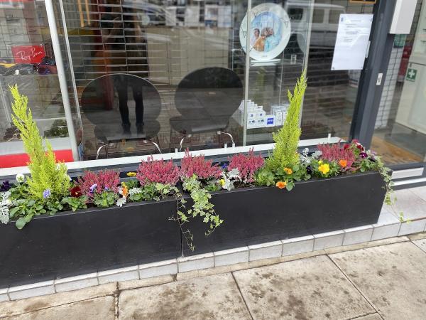 Plant Pedicure