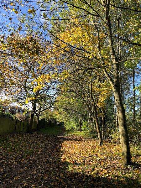 Merrick Binch Lettings & Sales