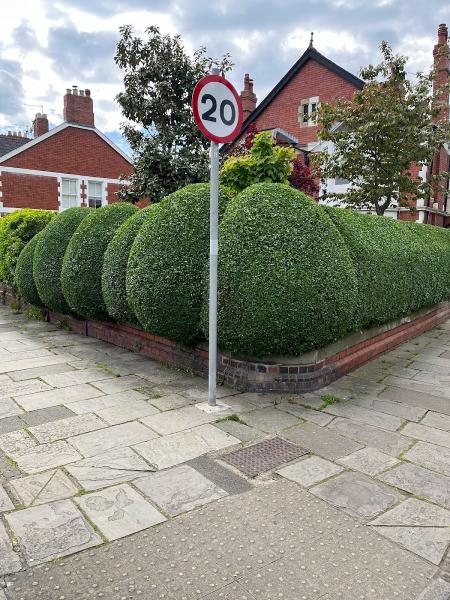 Hedge Trimming Cardiff