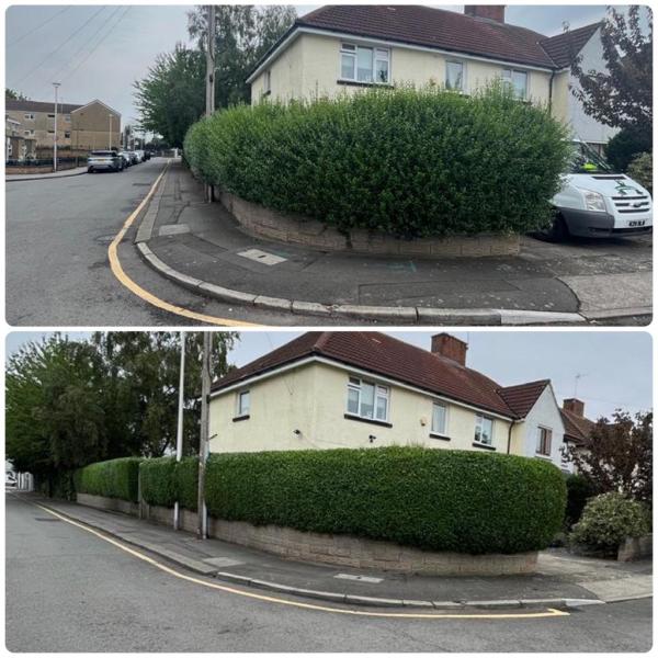 Hedge Trimming Cardiff