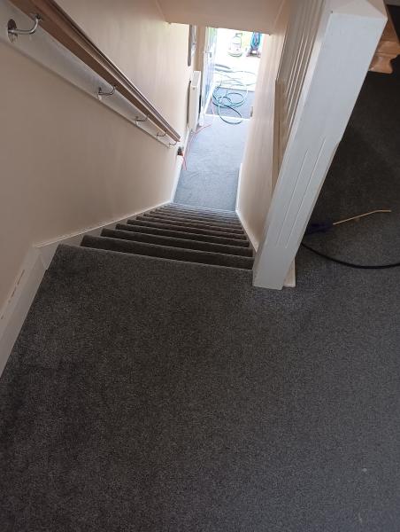 Cottons Carpet Cleaning