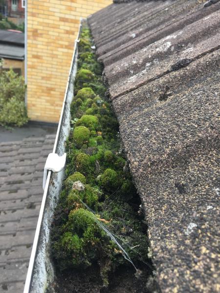 Ace1 Gutter Cleaning