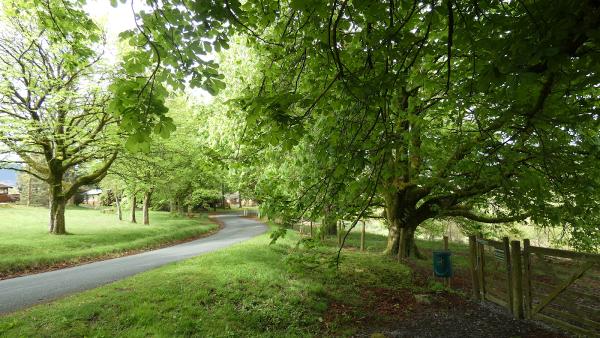 Under the Conker Tree Cleaning