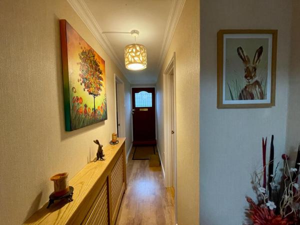 Definitive Decorating