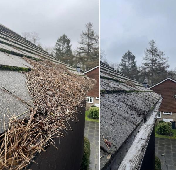 All Seasons Gutter Cleaning