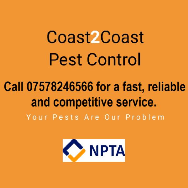 Coast 2 Coast Pest Control