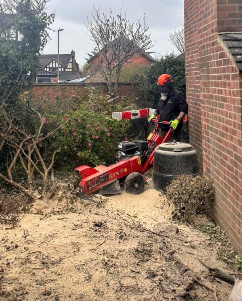 Green Countryside Tree and Hedge Care