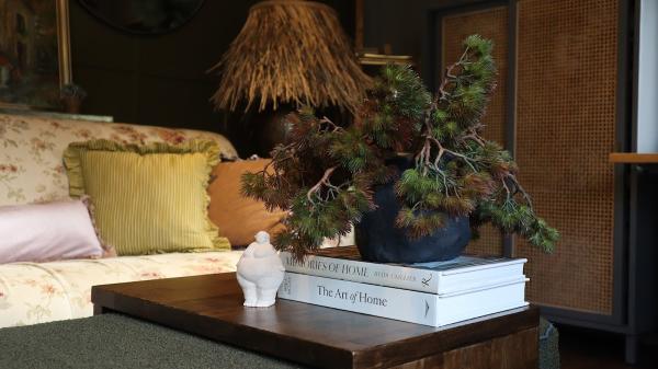 Sandra Carmichael Interiors