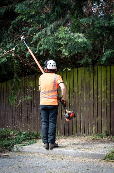 Flash Tree Surgeon Barnet