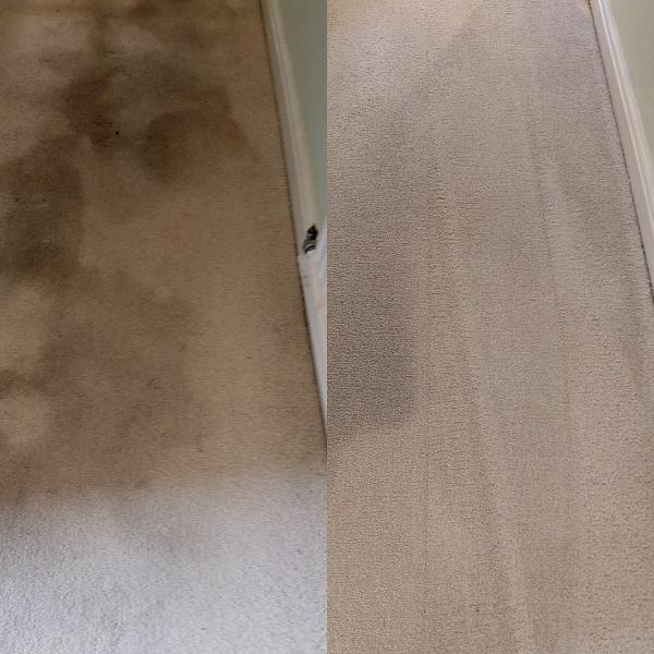 Chameleon Property & Laundry LTD