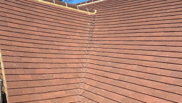 Runnymede Roofing