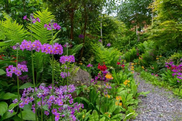 Adam Vetere Landscape and Garden Design