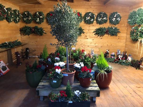 The Big Green Plant Centre