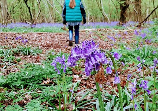 Toogood Window Cleaning