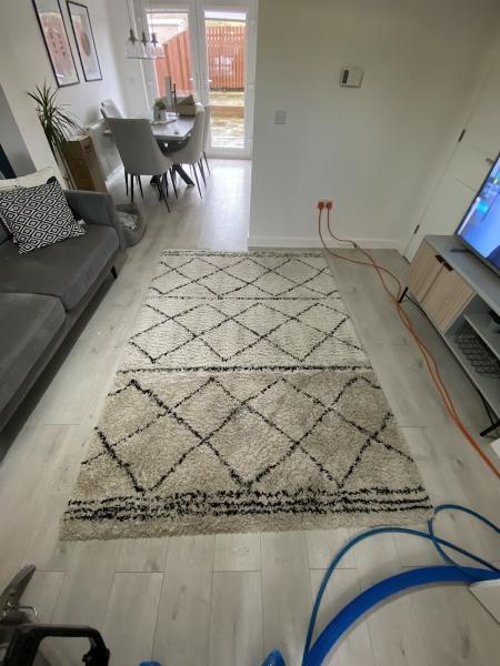 Cooriehill Professional Carpet & Upholstery Cleaning