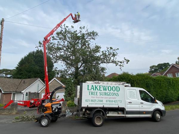 Lakewood Tree Surgeons