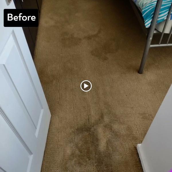 Houghton Carpet Cleaning