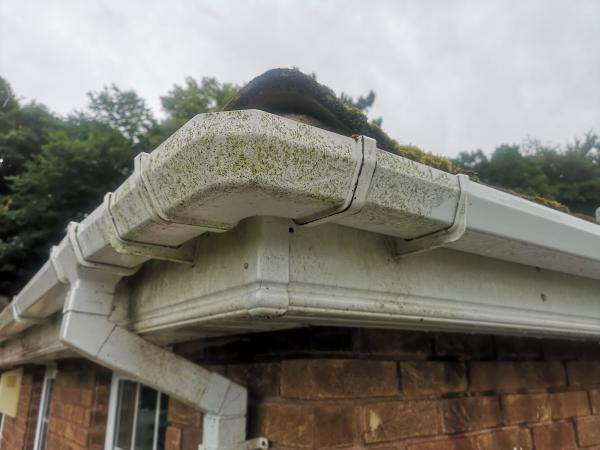 Dan's Windows and Gutters