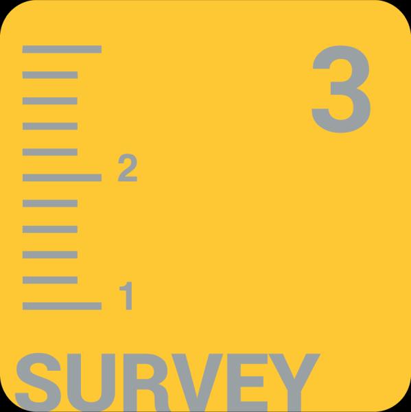 Swimming Pool Surveys