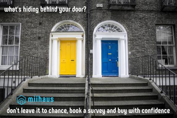 Miihaus Property Surveyors