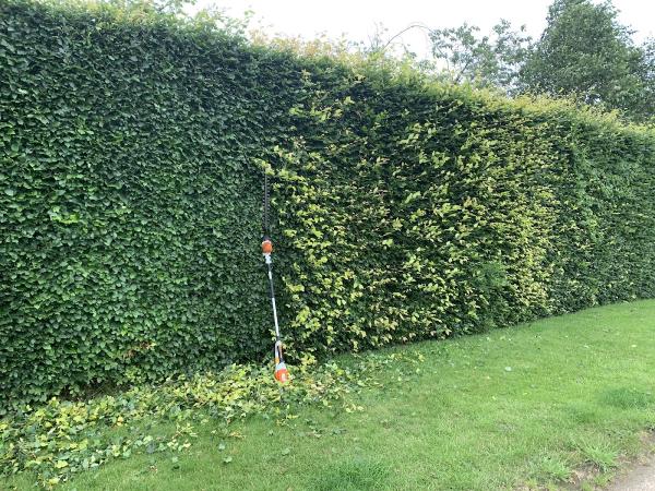 J Wheeler Tree & Woodland Services