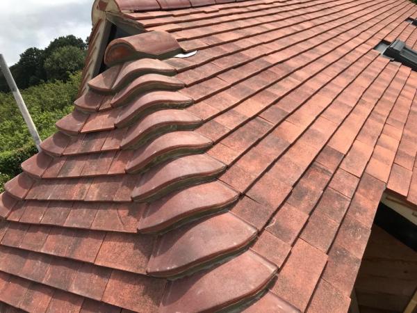 T Griffin Roofing