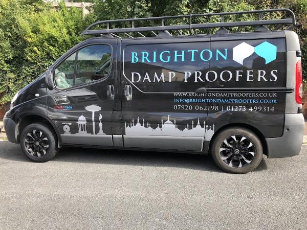 Brighton Damp Proofers