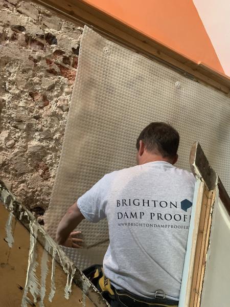 Brighton Damp Proofers