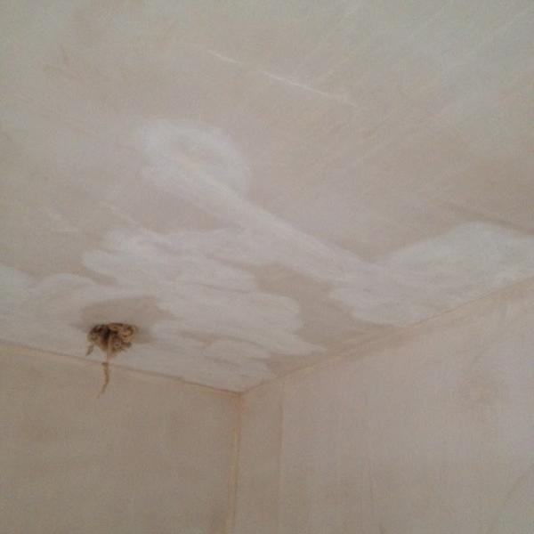 Cleveleys Plasterers