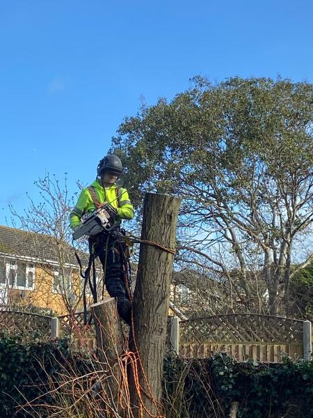 Hazelwood Tree Services