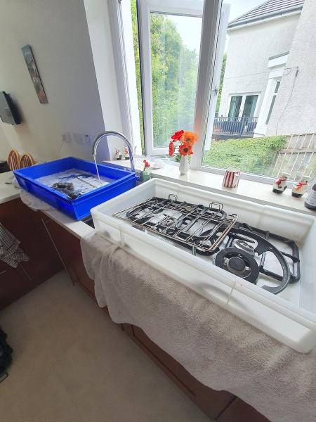 Glasgow Oven Cleaners