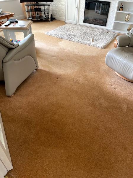 Stainkleen Professional Carpet Cleaning