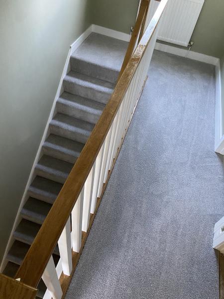 David James & Sons Carpet Laminate