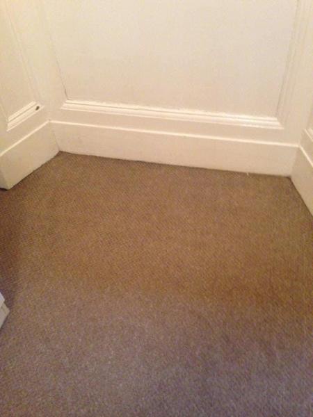 Revitalised Carpets