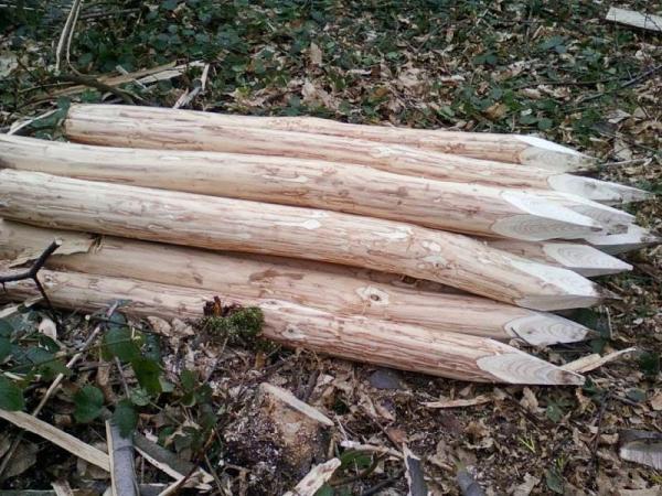 Chestnut Post and Rail Fenceing and Stakes