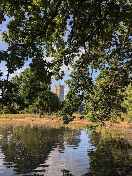 Bambers External Jet Washing