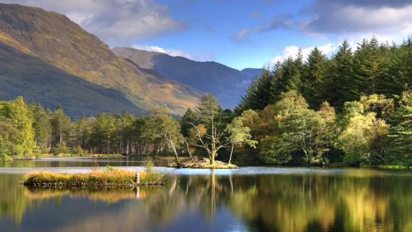 Dawsons Estate Agents