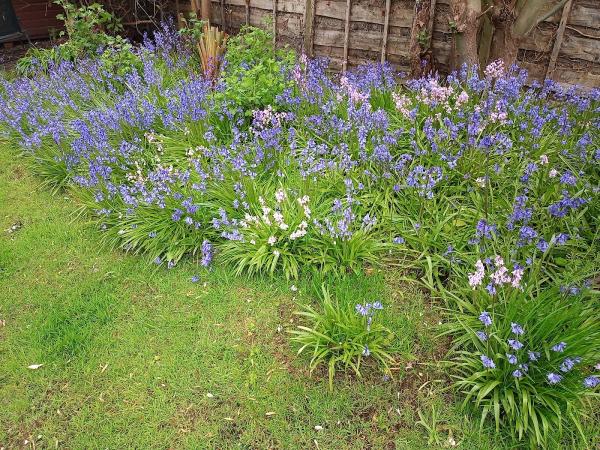 Great Moor Gardening Services