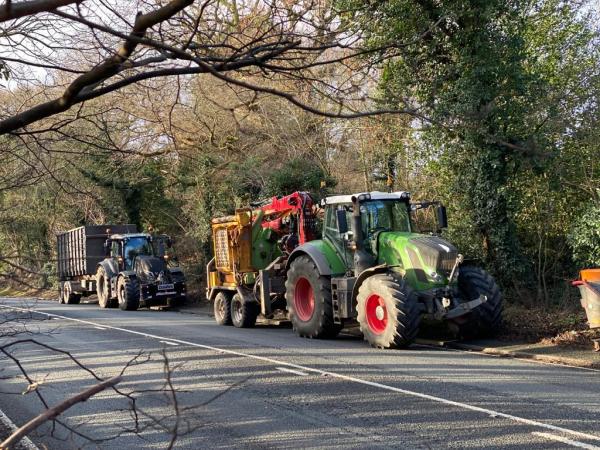 Chris Arnold Tree Surgery