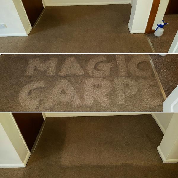 Magic Carpet Cleaning Cambridge Ltd