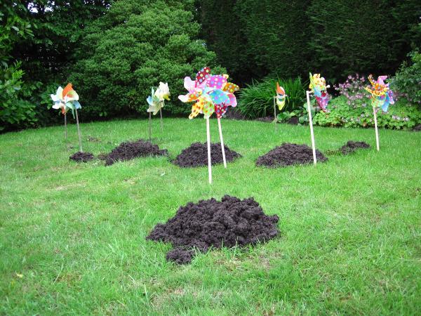 Lancashire Mole Control