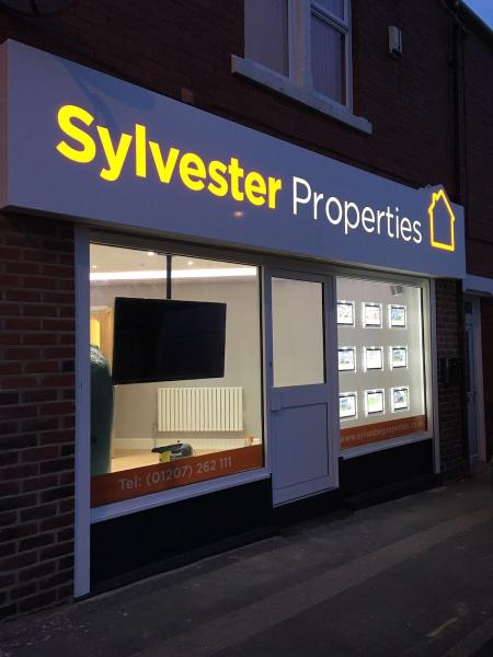 Sylvester Properties