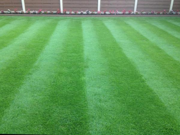 Clwyd Lawn Care Ltd